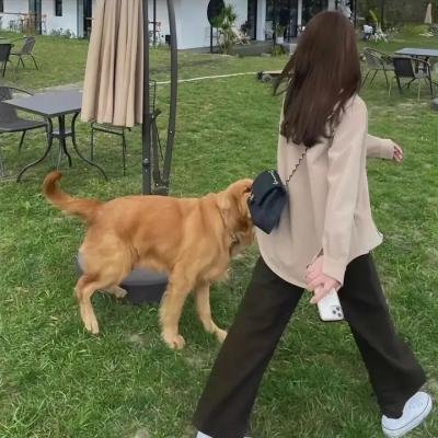 梅格雷