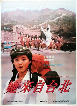 缉毒英雄 封面图